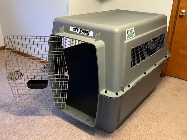 Comfort electronic pet crate with food