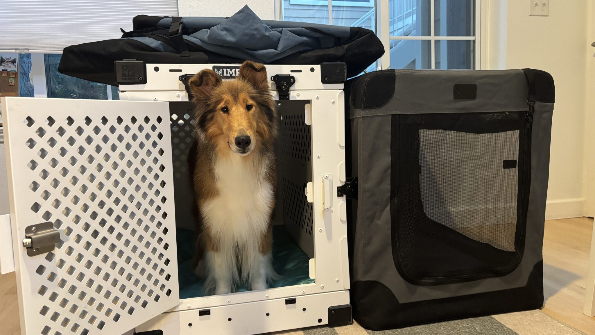 Royal pet crate with bed, food and pet nanny
